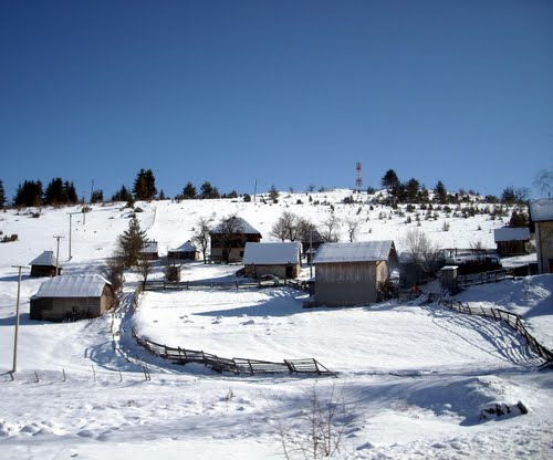Prijepolje