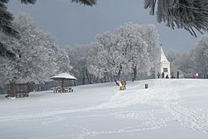 Kamenički Vis