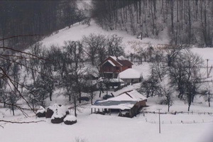 Kaona - Lučani