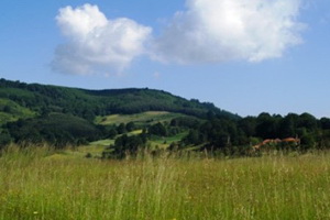 Kukavica - Leskovac