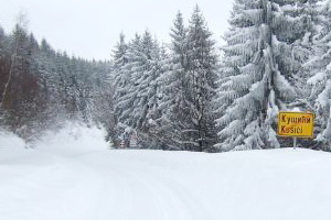 Kušići