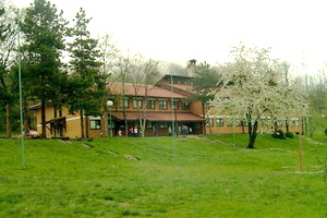 Savača - Bor