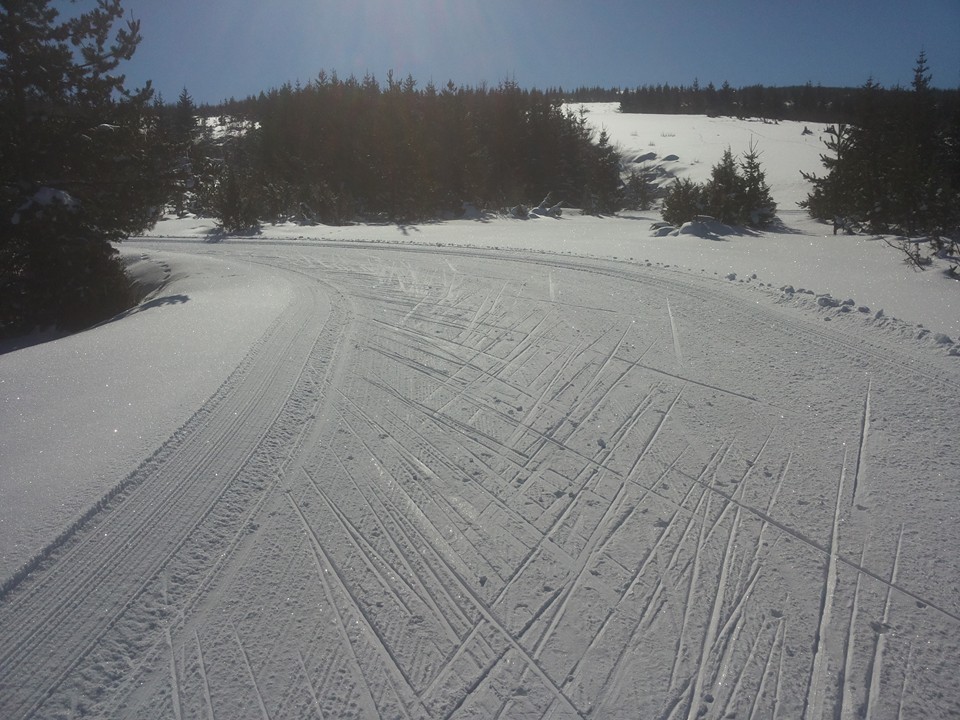 Ski centar Žari - nordijska staza