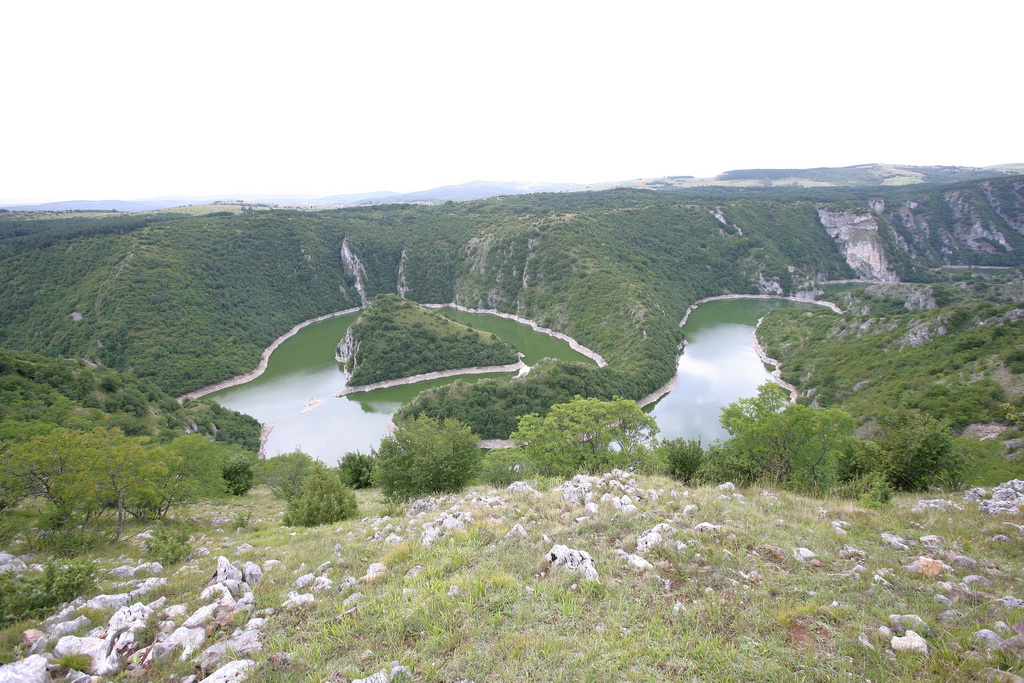 Sjenica