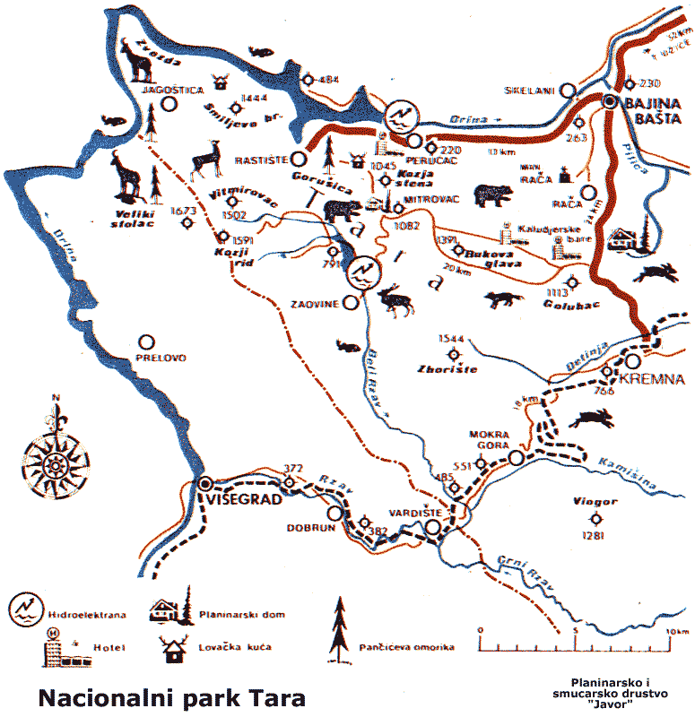 Tara
