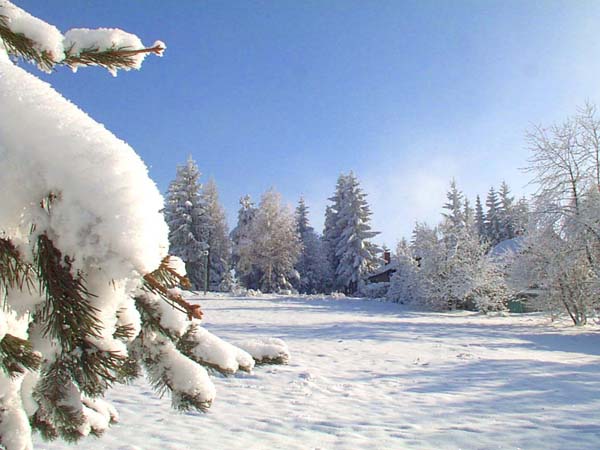 Tornik - Zlatibor