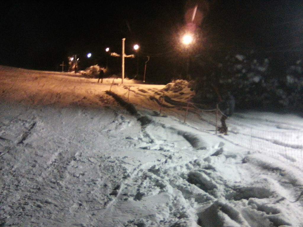 Plannarski dom - Pirot