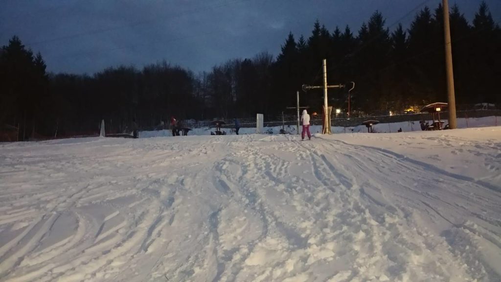 Plannarski dom - Pirot